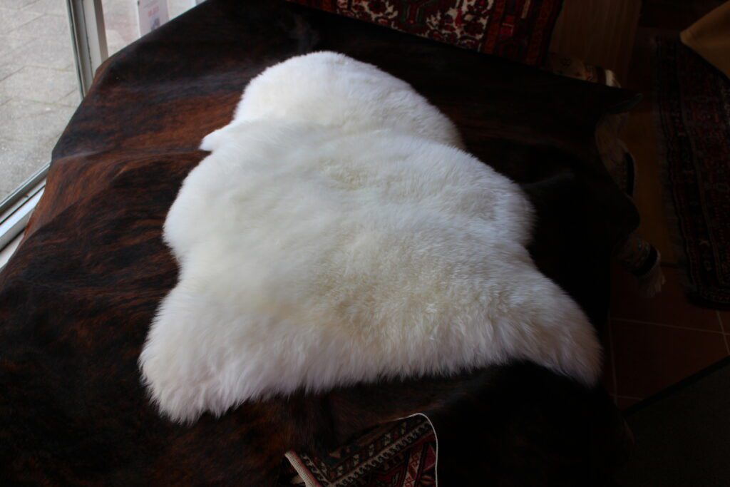 Quality XL Ivory Sheepskin 105cm